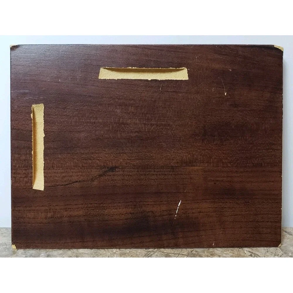 Bible Verse Plaque Plasms (119:11) Thy Word Have I Hid In My Heart.... (8x6) !!!